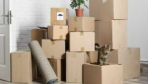 Chirag Express Packers and Movers